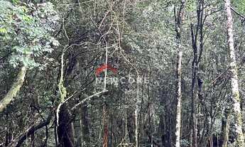 Imagem 4: Lote em Rua 21 - Alpes - São Francisco de Paula/RS