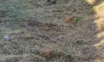 Imagem: Terreno em Suzano - SP (5x25