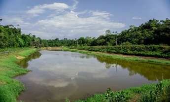Imagem 6: Fazenda 1.000 x 1.420 na estrada de Manacapuru km 27 16.500.001,00