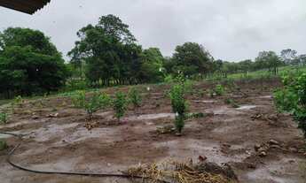 Imagem: Chácara 4.000m², à 8km de Jaranápolis-Go