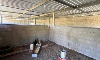 Imagem 6: Chácara Incra 7 apenas 20km de Taguatinga