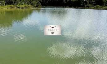 Imagem 7: Chácara à Venda em Vila Propício GO | 8 Alqueires