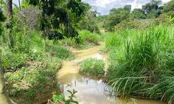 Imagem 7: Sitio 12.000m² com muita água, a 4km do centro de Baldim