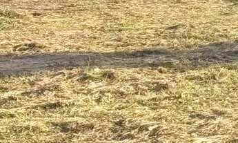 Imagem 5: Chácara para venda