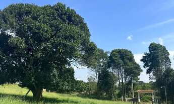 Imagem 3: Terreno em Ibiúna barato e regularizado