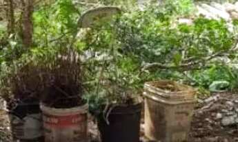 Imagem 5: CASA /BARRACÃO/ COMERCIO PARQUE AMAZONIA