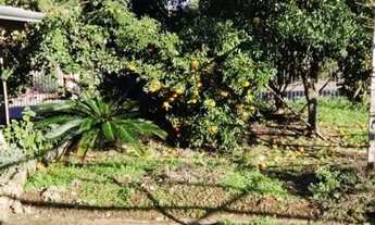 Imagem 5: INBOX CIA IMOBILIÁRIA VENDE TERRENO NO BAIRRO SAO VENDELINO