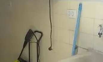 Imagem 6: Casa para alugar Jd Bonfiglioli - 2 Dorms. FL56