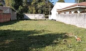 Imagem 7: Lote em Rua Dirceu Sá Ribas - Guatupê - São José dos Pinhais/PR