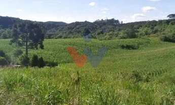 Imagem 4: Terreno para Chácara em Mandirituba 6.050 m Próximo à BR-116