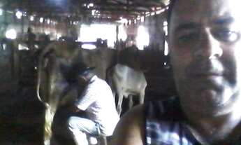 Imagem 2: Vendo chacara de 1,5 alquere - Oferta