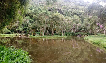 Imagem 7: Lindos 39 mil mts 2 lagos centro de Juquitiba