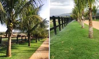 Imagem 4: Haras dentro de condomínio com 10 Hectares a 1 km de estrada de terra