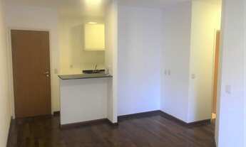 Imagem 4: PERDIZES - NOVO!