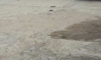 Imagem 6: Guarujá Praia do Pereque