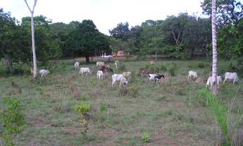 Imagem 3: Fazenda em Abreulândia-TO