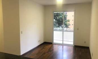 Imagem: PERDIZES - NOVO!