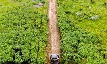 Imagem 2: Fazenda Triângulo Mineiro P/ Pecuária Lucrativa 100% Formada Completa