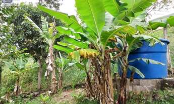 Imagem 4: Chácara para Venda em Pinhalzinho, Zona Rural, 3 dormitórios, 1 suíte, 3 banheiros, 6 vaga