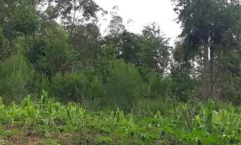 Imagem 4: Chácara em Ararica próximo ao centro da cidade