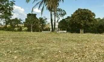 Imagem 4: Sítio com 2ha a venda