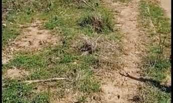 Imagem 7: Vendo Fazenda em Deuré Tocantins 232 Alq