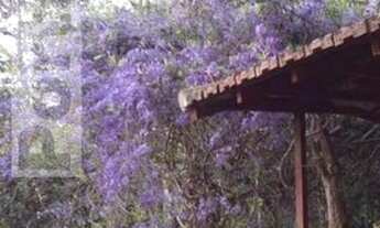 Imagem 4: Casa para Venda em Teresópolis, Caxangá, 7 dormitórios, 4 suítes, 5 banheiros, 5 vagas