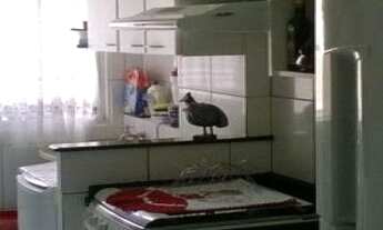 Imagem 4: CONDOMÍNIO RESIDENCIAL DOS PIONEIROS