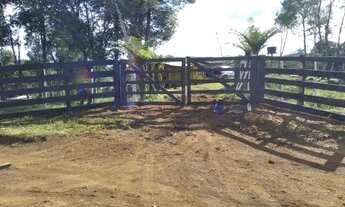 Imagem 2: Linda Fazenda em Guarapuava 79,5 alqueires paulistas