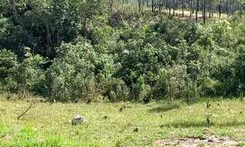 Imagem 3: Lote/Terreno para venda possui 1000 metros quadrados em Centro - Mairiporã - SP