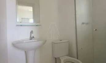 Imagem 7: Araçatuba - Apartamento - Umuarama