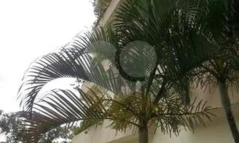 Imagem 3: Apartamento-São Paulo-VILA MARIA ALTA