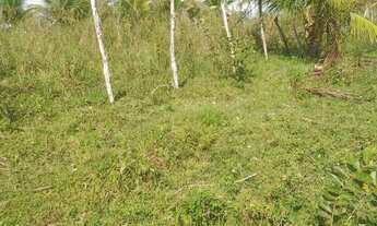 Imagem 5: Sitio em São Lourenço da mata