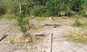 Imagem 7: Terreno próximo ao Park Shopping; terreno em Campo Grande, RJ