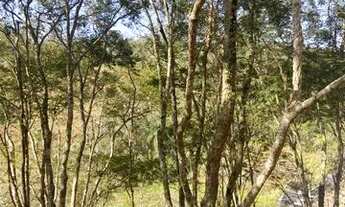 Imagem 2: Lote/Terreno para venda tem 1000 metros quadrados em Recanto das Águas - Igaratá - SP