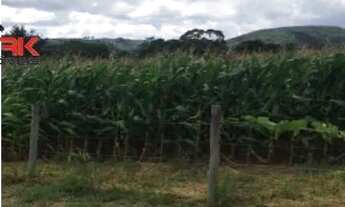 Imagem 3: Residencial - Cururu