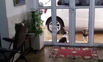 Imagem 5: Casa para Venda - 228m², 3 dormitórios, 3 vagas - Teresópolis