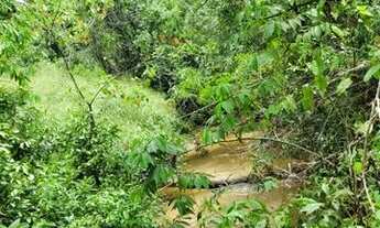 Imagem 6: Chácara com 4.789,79 m2 com o rio das pedras no fundo