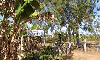 Imagem: CHÁCARA ABADIA DE GOIÁS, CORREGO, MUITA