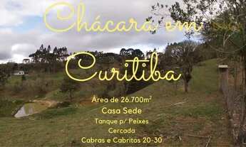 Imagem 2: CHACARA A VENDA EM CURITIBA 30KM REGIÃO METROPOLITÂNA