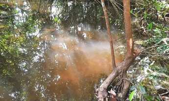 Imagem 4: TERRENO COM IGARAPÉ