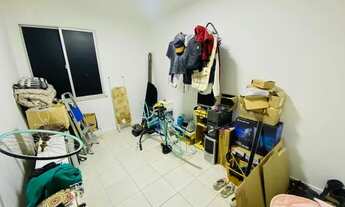 Imagem 5: Jardim das Palmeiras