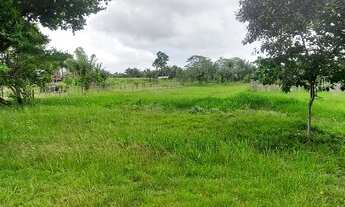 Imagem: Sítio em Salinas