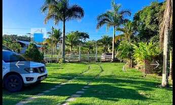 Imagem 6: Sítio maravilhoso em Cantagalo R.O