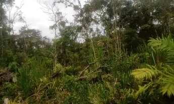 Imagem 5: Vende -se Terrenos - Entrada + Parcelamento Facilitado, direto!