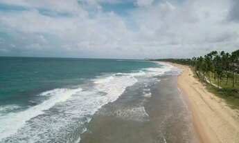 Imagem 6: Apartamento para venda possui 32 metros quadrados com 1 quarto em Muro Alto - Ipojuca - PE