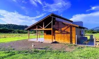 Imagem 2: Chácara em Santo Antônio da Patrulha ideal para pecuária