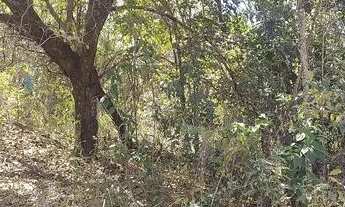 Imagem 7: Terreno no encontro das águas, esmeraldas