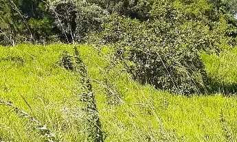 Imagem 3: Terreno para chácara 2.000 m²