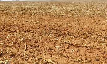 Imagem 6: Fazenda à Venda Região de Campo Novo do Parecis/MT